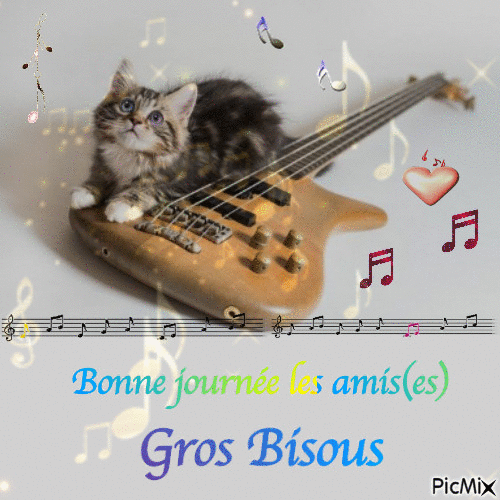 chat et guitare - Darmowy animowany GIF