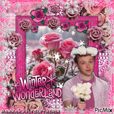 {♣}Pink Winter Roses & Sterling Knight{♣} - Darmowy animowany GIF