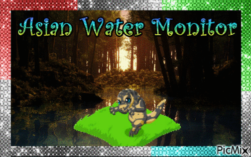 Asian water monitor - Darmowy animowany GIF