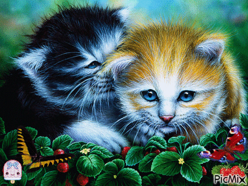 des chats dans les fraises - Gratis animeret GIF