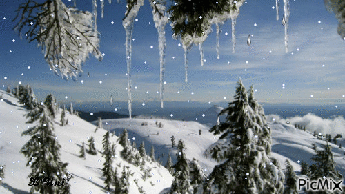paysage hiver - Kostenlose animierte GIFs