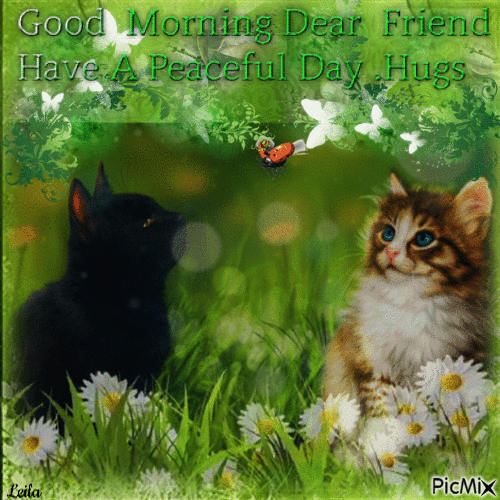 Good morning dear friend. Have a peaceful day. Hug. Cats - Free animated  GIF - PicMix