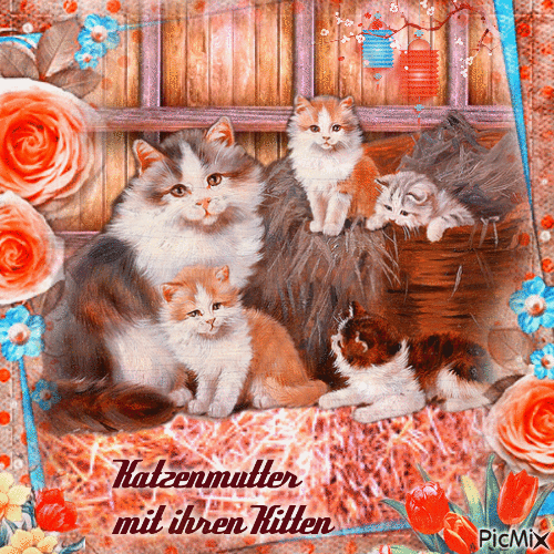 Katzenmutter mit ihren Kitten - 無料のアニメーション GIF