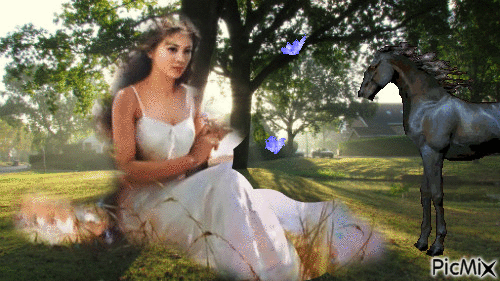 Vrouw Paard en Vlinders - GIF animasi gratis
