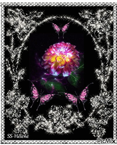 Flower in a silver frame. - Zdarma animovaný GIF