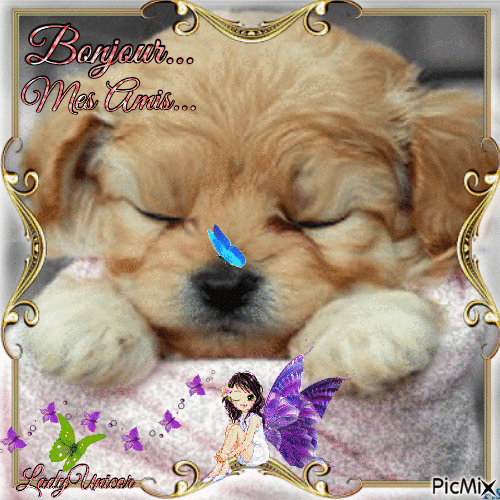 Very Cute little Puppy - 無料のアニメーション GIF