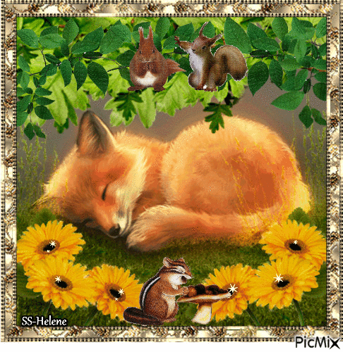 Sleeping fox. - GIF animado gratis
