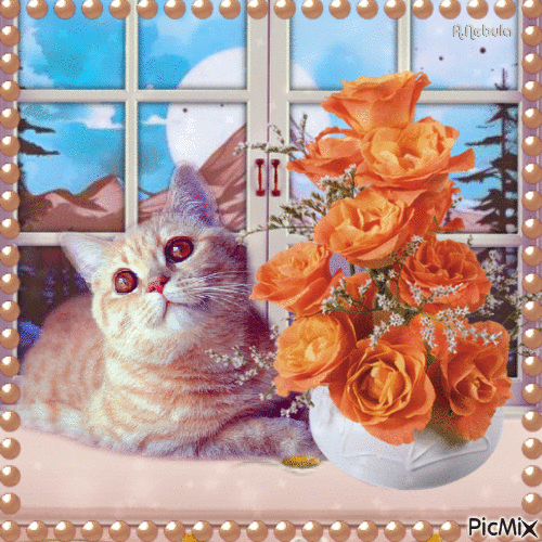 Still life with a cat-contest - Gratis geanimeerde GIF