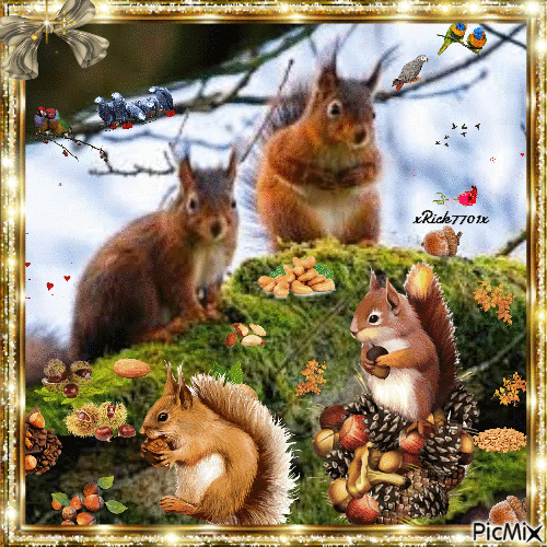 Squirrels treasue chest   9-20-21 by xRick7701x - Free animated GIF