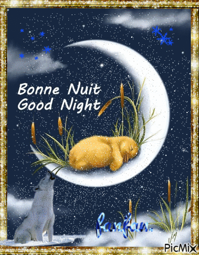 bonne nuit - Безплатен анимиран GIF