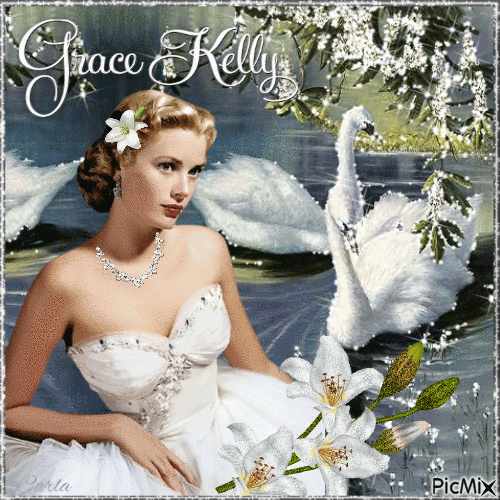 Grace Kelly Contest - Zdarma animovaný GIF