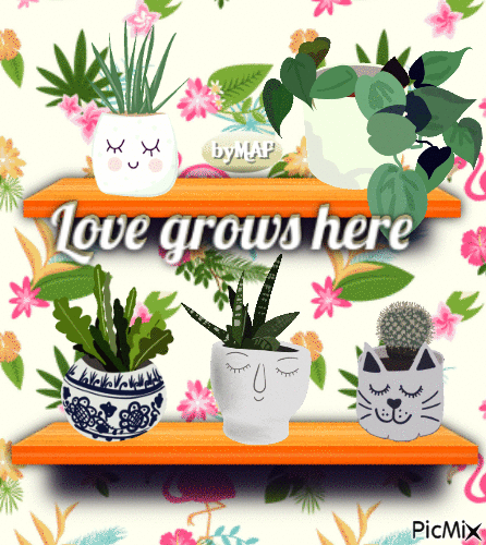 Love Grows Here - GIF animate gratis