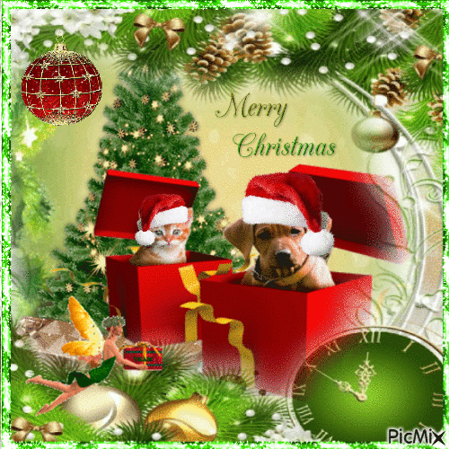 Merry Christmas Dog & Cat. - GIF animado grátis