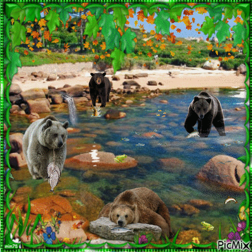 ours pêcheurs - Gratis geanimeerde GIF
