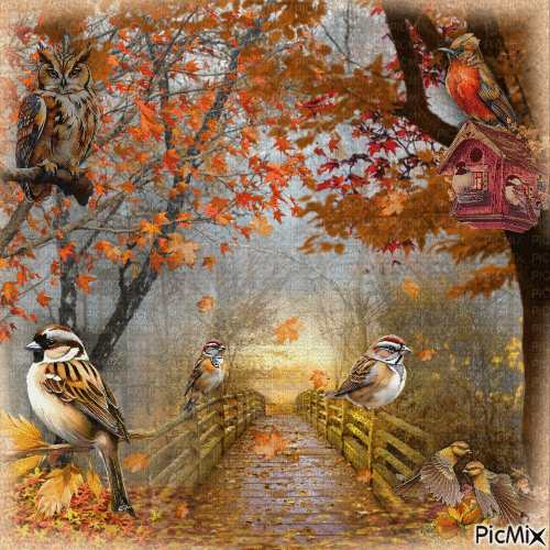 Les oiseaux en automne. - Бесплатный анимированный гифка