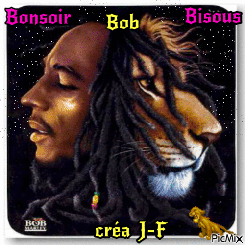 bonsoir (bob) - Gratis animerad GIF