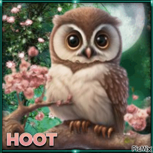 The Owl - Ilmainen animoitu GIF