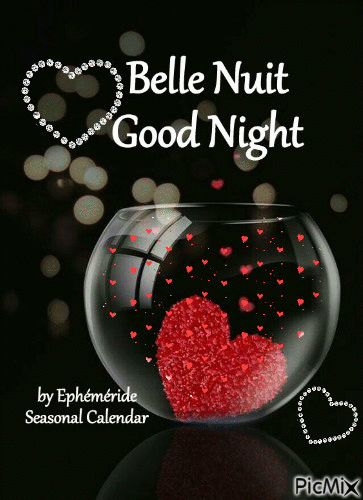 Belle Nuit Good Night - Nemokamas animacinis gif