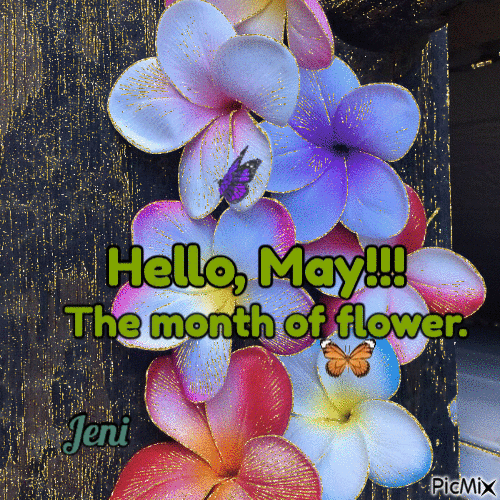Hello,May! - 免费动画 GIF