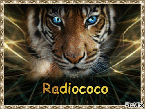 Salon Radiococo - Bezmaksas animēts GIF
