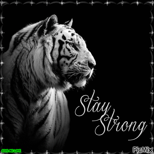 STAY STRONG - 免费动画 GIF
