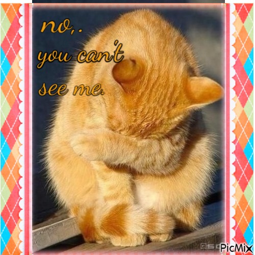 no, you can't see me. - kostenlos png