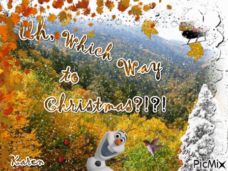 Which Way to Christmas?!?! - GIF animé gratuit