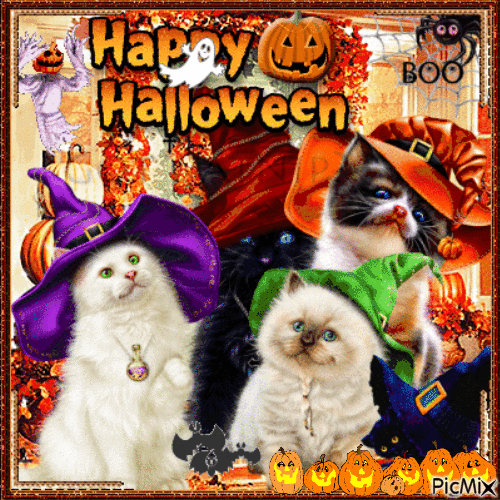 Halloween Kittens - GIF animé gratuit