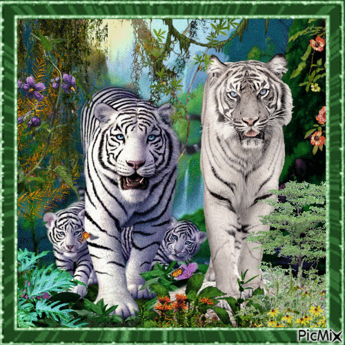 Tigerfamilie im Dschungel - Animovaný GIF zadarmo
