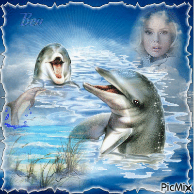 dolphins - Gratis geanimeerde GIF