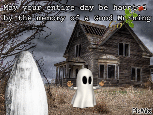 haunted by good morning - 無料のアニメーション GIF