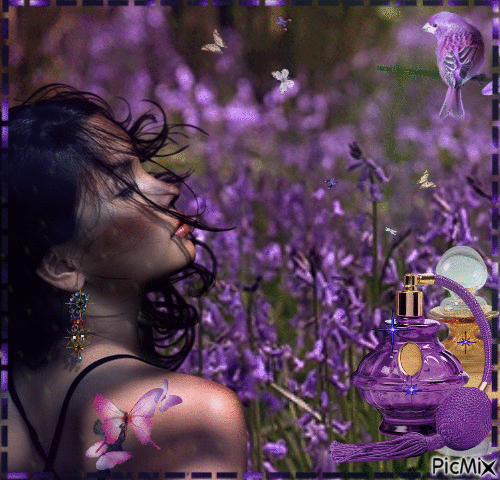 Lavender perfume - GIF animé gratuit