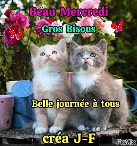 beau  mercredi - Безплатен анимиран GIF
