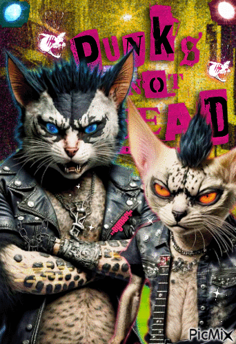 Punk Cats - GIF animado grátis