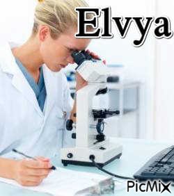 Elvya - PNG gratuit