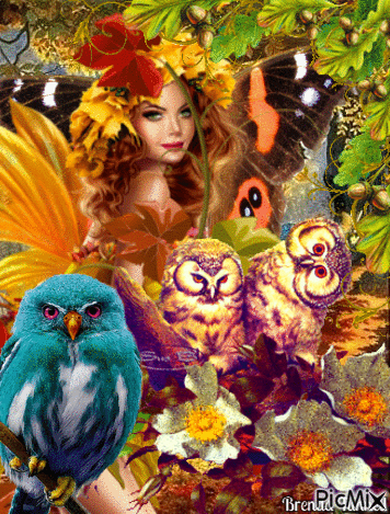 autumn owl - Gratis animeret GIF