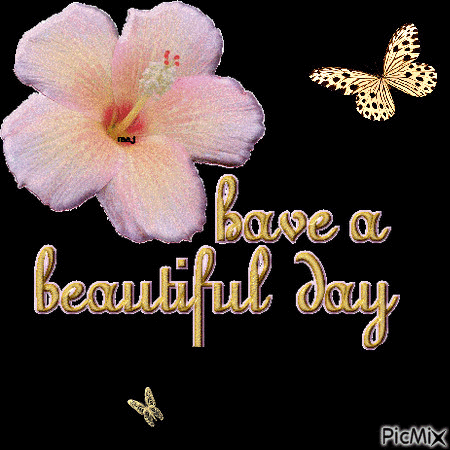 have a beautiful day butterflies - GIF animado grátis