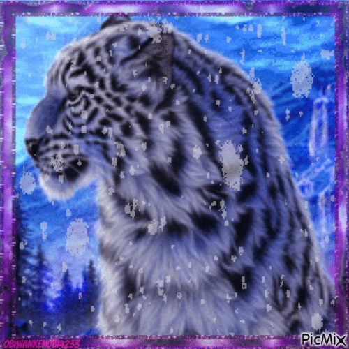 Snow Leopard - GIF animé gratuit