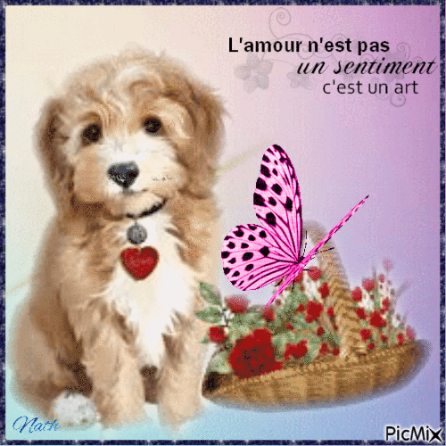 Un beaux petit chien - Zdarma animovaný GIF
