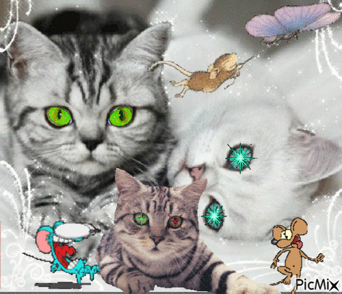 les chats et les souris - GIF animado gratis