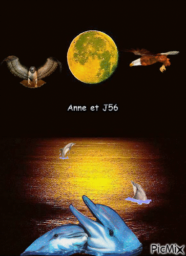 Anne et joel - Kostenlose animierte GIFs