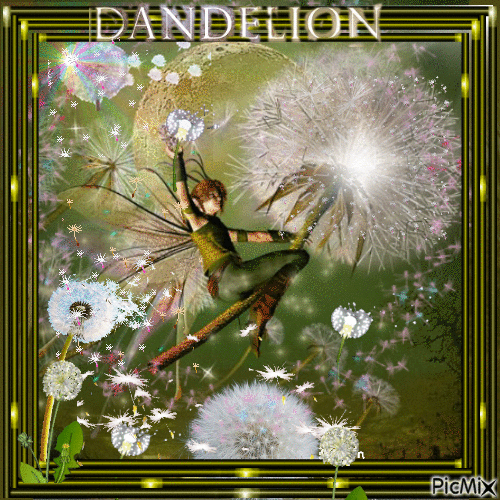 blooming dandelion - Darmowy animowany GIF