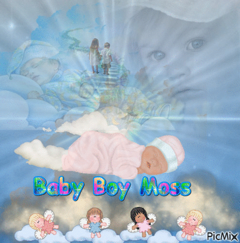 baby boy moss - GIF animado gratis
