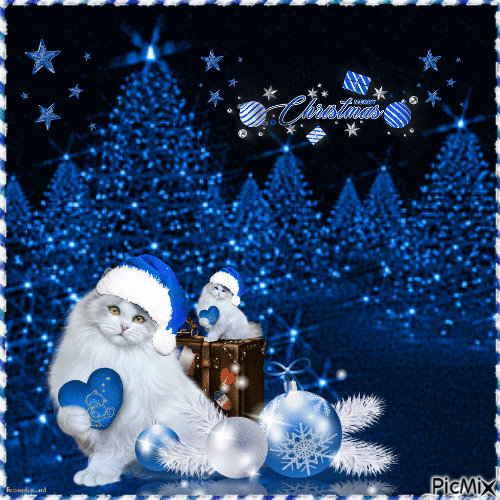 Weihnachtskatze in Blau - Bezmaksas animēts GIF