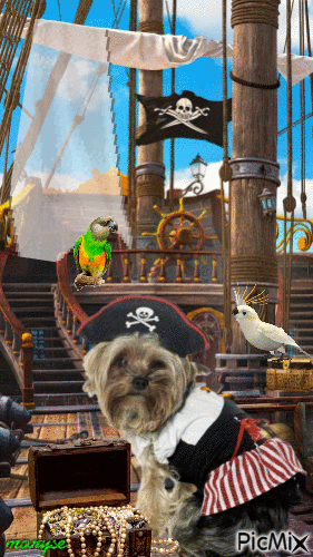 pirate - GIF animado grátis