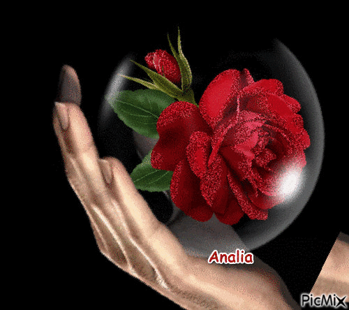 hermosa noche de rosas y jazmines - Free animated GIF - PicMix