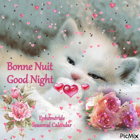 Bonne Nuit Good Night - Nemokamas animacinis gif