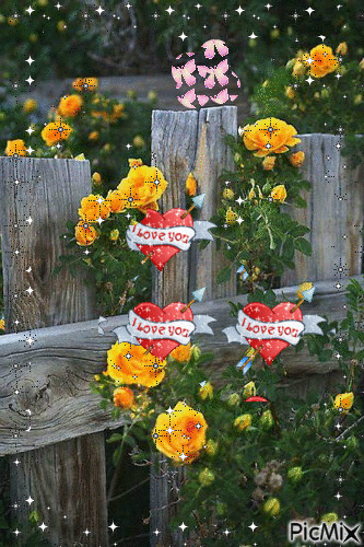 trandafirii,,simbolul iubirii,, - Zdarma animovaný GIF