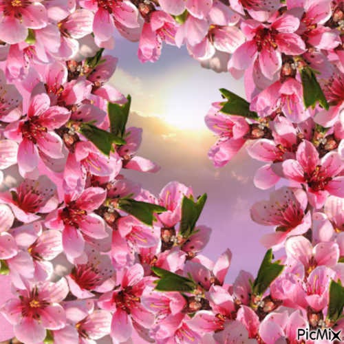 #Flower - δωρεάν png
