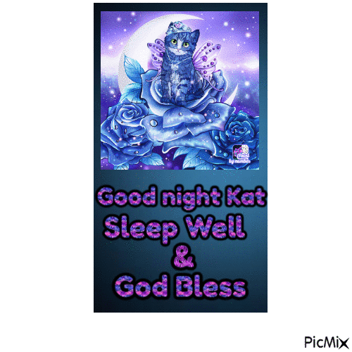 Good Night Kat - GIF animé gratuit